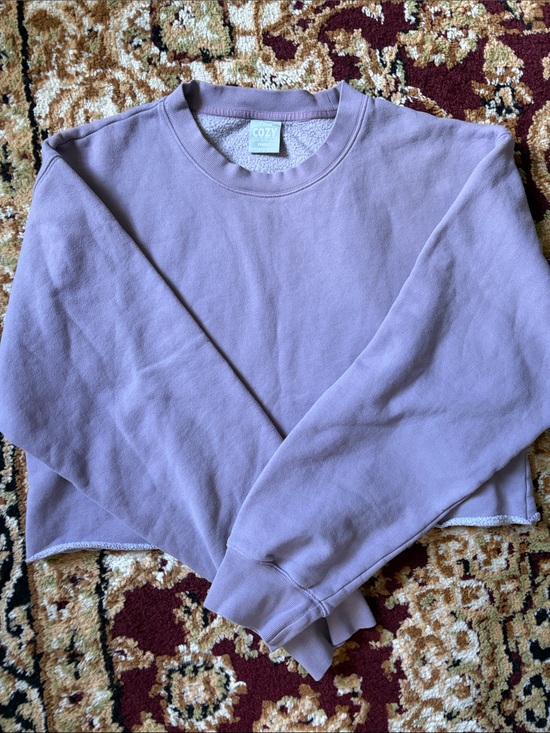 Aritzia Sweaters - TNA Cropped Sweatshirt